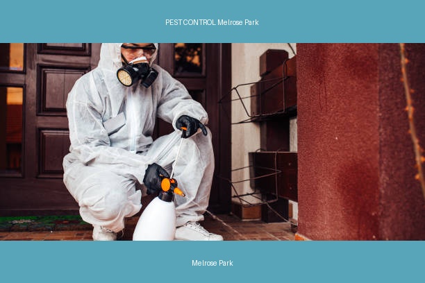 PEST CONTROL Melrose Park